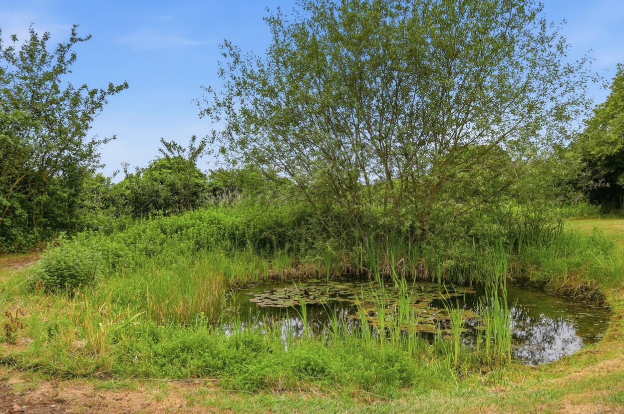 Stoke by Nayland, Colchester, Essex