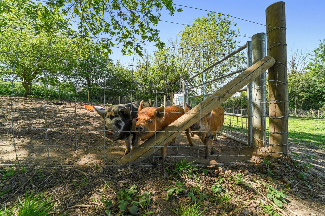 Lamarsh, Bures, Essex