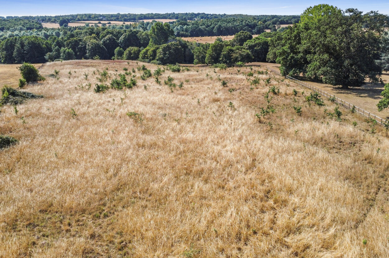 Sible Hedingham, Halstead, Essex