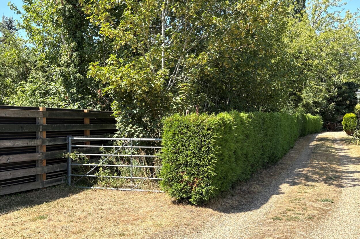 Castle Hedingham, Halstead, Essex
