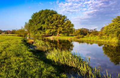 A trip along the River Stour, East Anglia